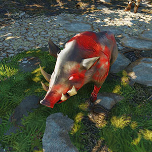 Portrait Blutbeflecktes Wildschwein